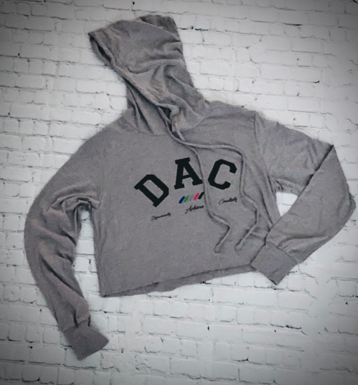 Women's Varsity Athletic Light Crop-Top Hoodie